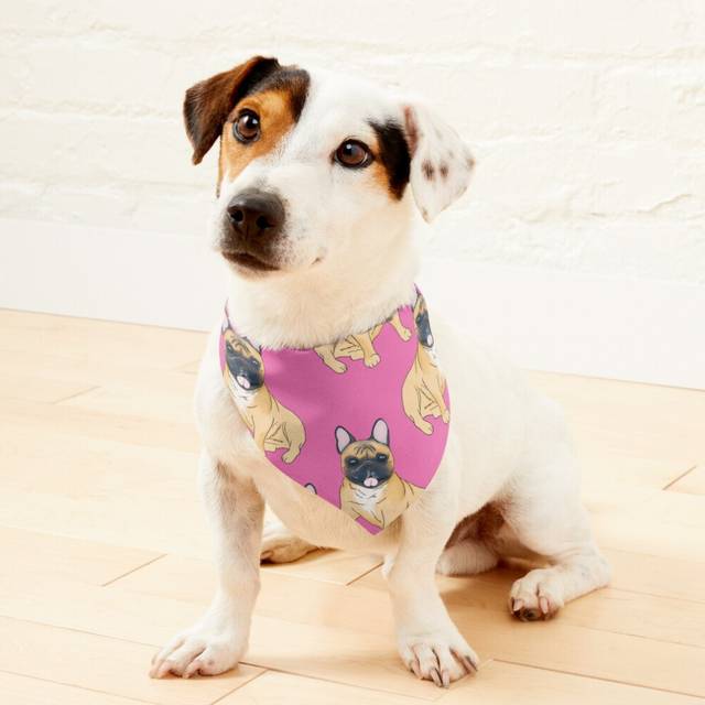 (Frenchie Pattern=73) 2-in-1 Pet Bandana Collar with Quick Release Buckle & D-Ring Adjustable Cat Scarf for Large/XLarge/XXLarge Dogs, Double-Sided Po