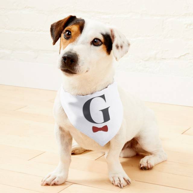 (Dappa G (No Background)=2731) 2-in-1 Pet Bandana Collar with Quick Release Buckle & D-Ring Adjustable Cat Scarf for Large/XLarge/XXLarge Dogs, Double