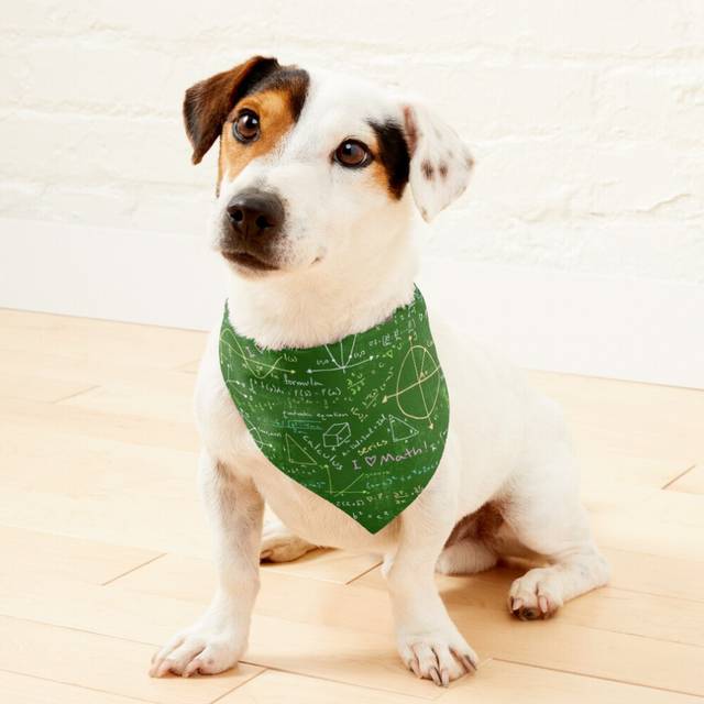 (Math Lessons=2062) 2-in-1 Pet Bandana Collar with Quick Release Buckle & D-Ring Adjustable Cat Scarf for Large/XLarge/XXLarge Dogs, Double-Sided Poly