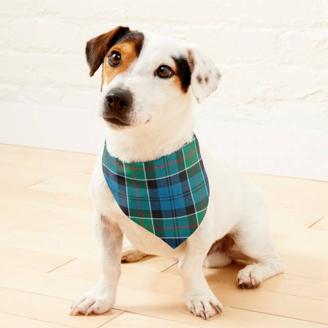(Colquhoun Ancient tartan=1268) 2-in-1 Pet Bandana Collar with Quick Release Buckle & D-Ring Adjustable Cat Scarf for Large/XLarge/XXLarge Dogs, Doubl