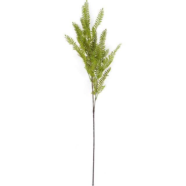 Maidenhair Stem - Green (95cm H X 15cm W X 15cm D)