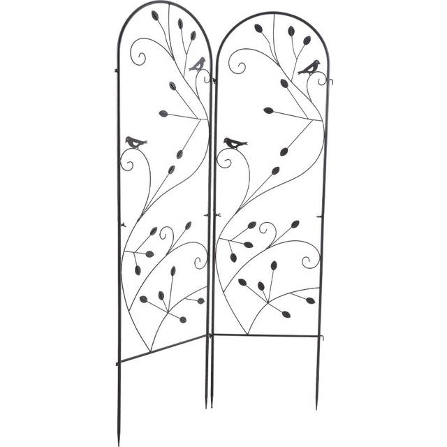 176.5cm H x 50cm W Iron Arched - Black (176.5cm H X 50cm W X 2cm D)