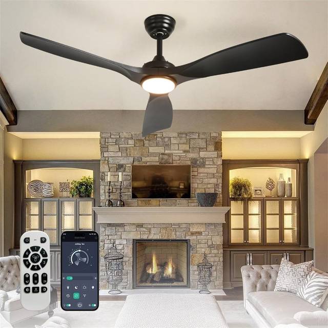 Ceiling Fan With Light Modern Outdoor Fan With Remote App Control - Black