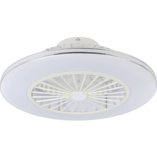 Jenkintown Ceiling Fan with LED Lights - Metal
