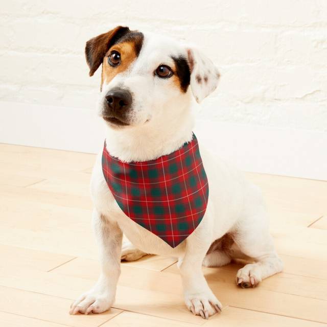 (Clan MacPhee - MacFie Tartan=2252) 2-in-1 Pet Bandana Collar with Quick Release Buckle & D-Ring Adjustable Cat Scarf for Large/XLarge/XXLarge Dogs, D