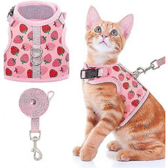(As show, One size) Cat Harness With Leash Escape Proof - Fashionable Mesh Cat Dog Walking Harness Leads, Adjustable For Kitties Puppies Small Animals