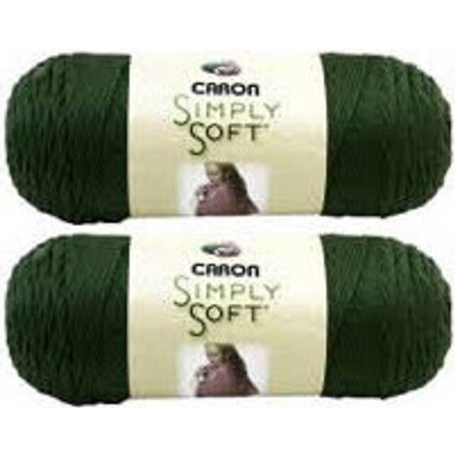 Bulk Buy: Caron Simply Soft Yarn Solids 2-Pack Dark Sage