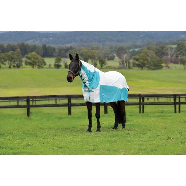 Kool Coat Cotton Airstream II Detach-A-Neck Summer Sheet - White/Mint