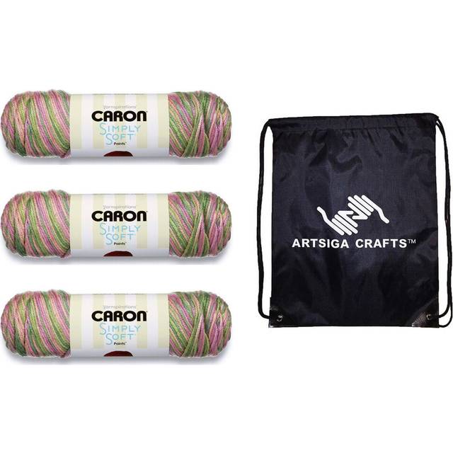 Caron Simply Soft Paints Rose Garden 294021-21002 (3-Skeins - Same Dye Lot) Worsted Medium #4 Acrylic Yarn for Crocheting and Knitting - Bundle with 1