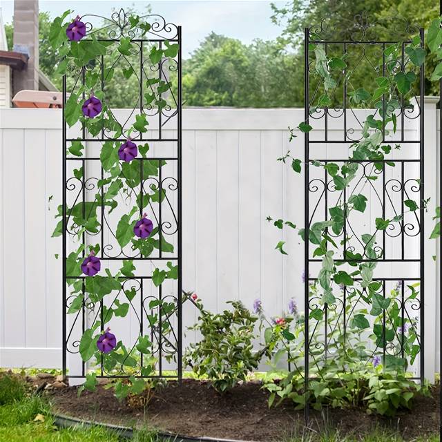 TEMU 2pack 182x50cm/71.7x20 In Metal Garden Trellis For Climbing Plants, Black Metal Garden Trellis For Vines Plant Rose , Large Decorative Outdoor Trellis