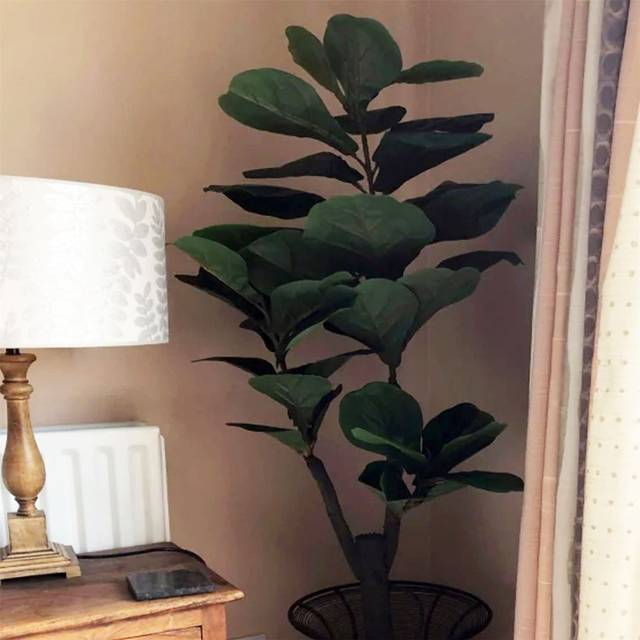 120cm (4ft) Large Artificial Fiddle Fig Tree Ficus Evergreen Plant - Green (120cm H X 50cm W X 50cm D)