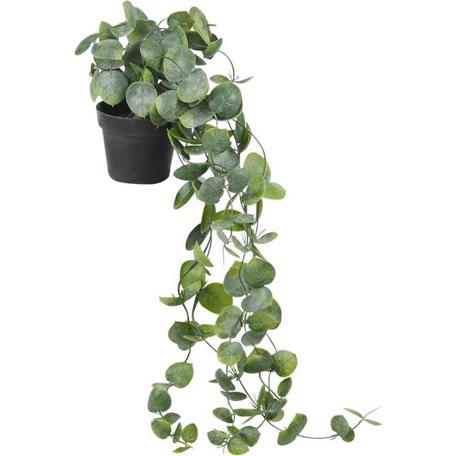 Long Ivy Plant Big Leaf (69cm H X 20cm W X 20cm D)