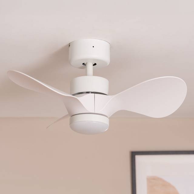 24Cm Cayleeann LED Ceiling Fan with Light Kit Included - White (24cm)