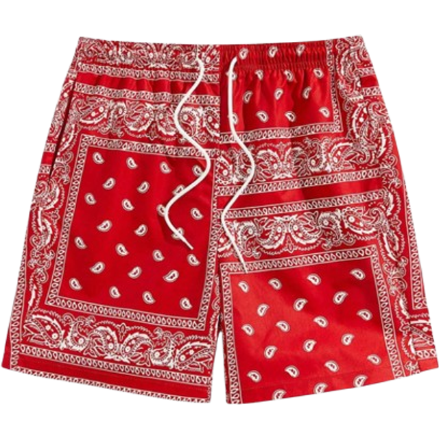 Manfinity Men&#39;s Holiday Beach Paisley Printed Drawstring Waist Shorts