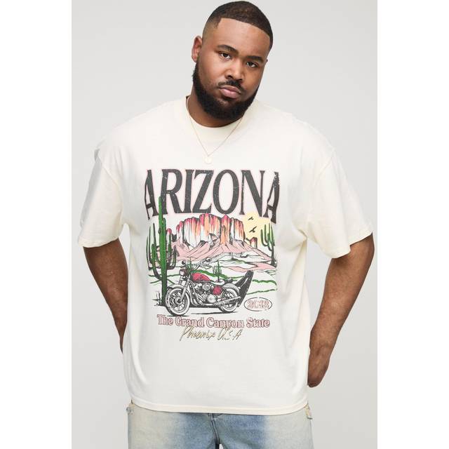 Plus Oversized Extended Neck Arizona Western Landscape T-Shirt - Cream - 3XL