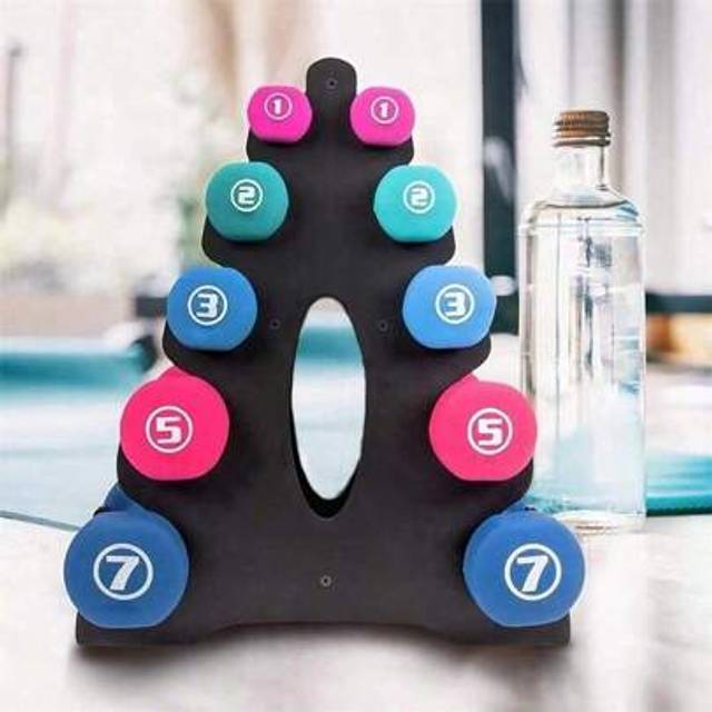 SHEIN Compact Dumbbell Holder Rack, Home Gym Equipment, Space Saving Triangular Weight Lifting Stand