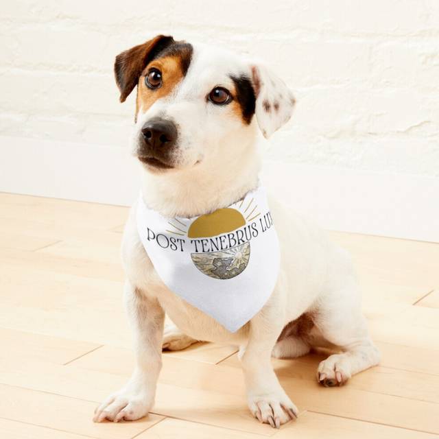 (Post Tenebrus Lux After Darkness, Light!=1426) 2-in-1 Pet Bandana Collar with Quick Release Buckle & D-Ring Adjustable Cat Scarf for Large/XLarge/XXL