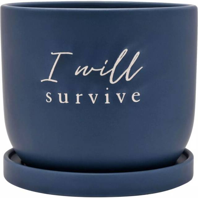 Flower Pot Planter Ceramic With Saucer I Will Survive Round Navy Blue Cactus