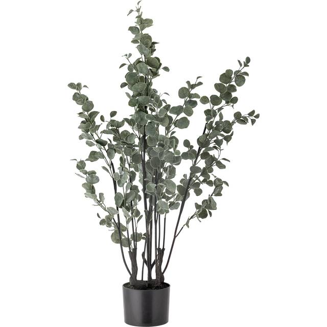 Bloomingville - Eucalyptus Växt - Grön