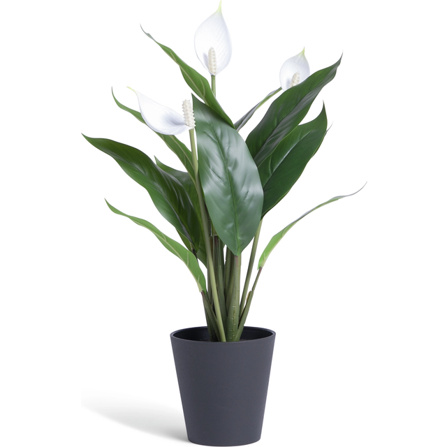 Habitat Artificial White Large Peace Lily Plant - 51cm