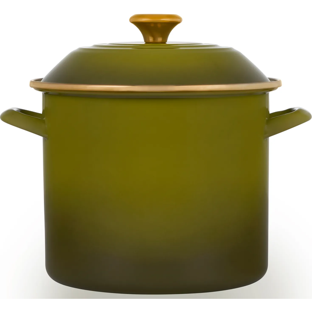 Le Creuset Enamel on Steel Stockpot  10 qt.  Olive
