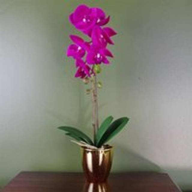Leaf - 46cm Artificial Orchid Dark Pink and Gold