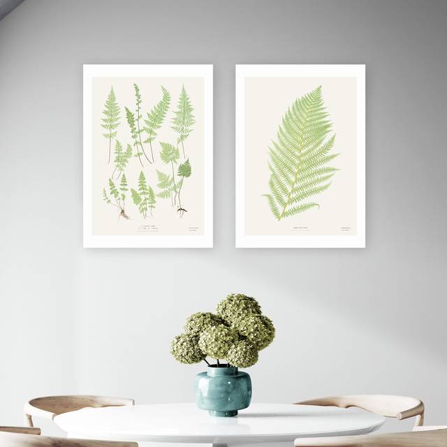 East End Prints Botan Vintage Art Print - A2