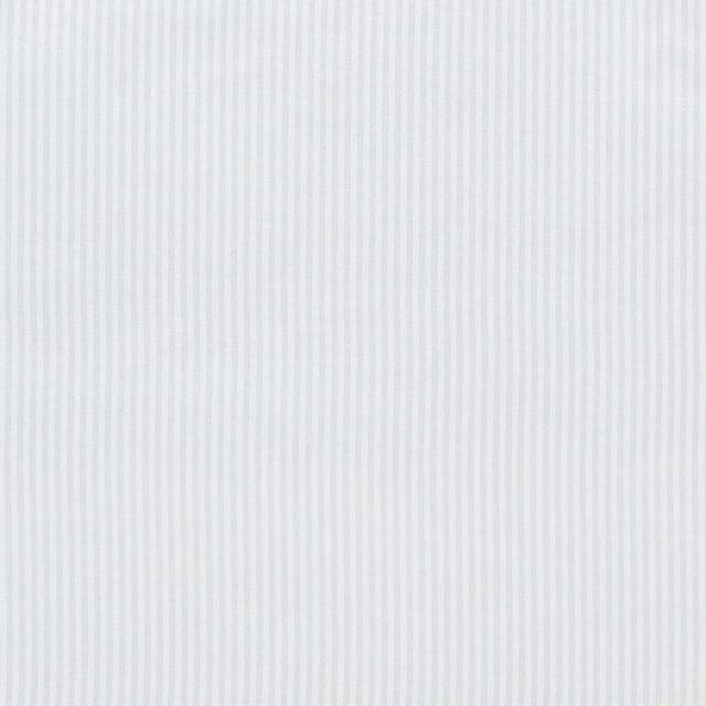 Natural Skinny Stripe Shower Curtain