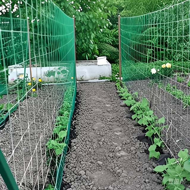 TEMU Nylon Climbing Plant Support Netting For And Gardens - Light Green, Ideal For , , And Squashes, Garden Trellis Mesh For , Trellis For Climbing Plants