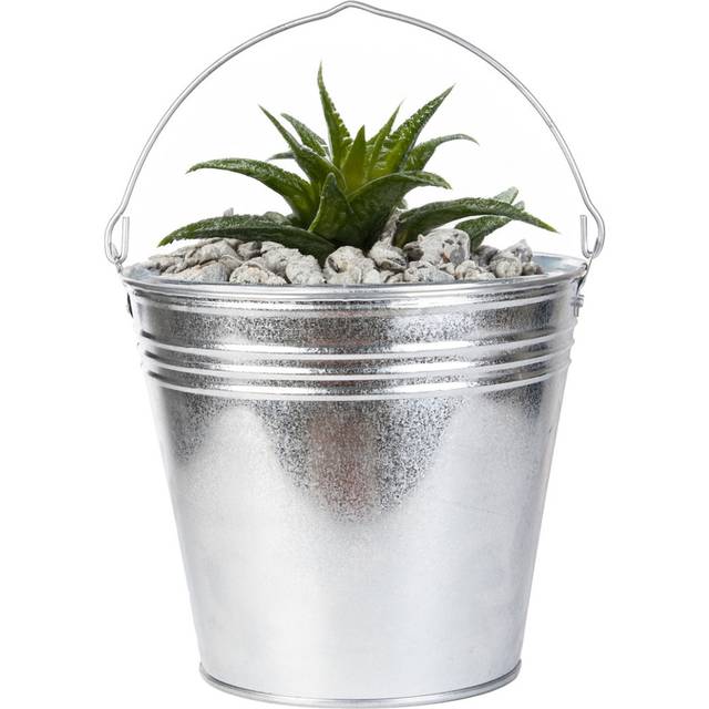 Fallen Fruits Zinc Bucket - Silver