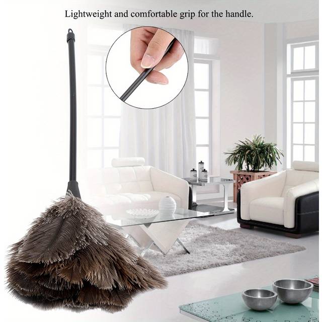 TEMU 1pc Handmade Washable Ostrich Feather Duster, Reusable Mini Dusting Brush For Books, Keyboard, Office & Home Use - No Battery Required