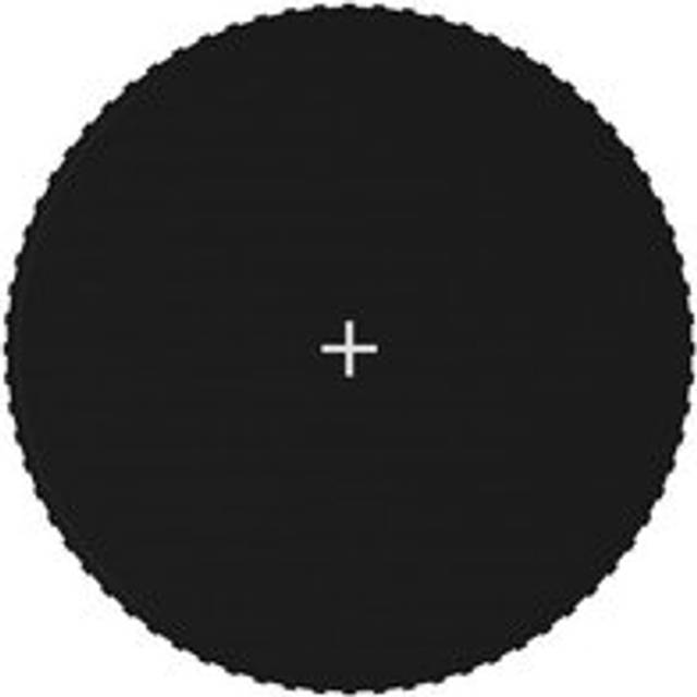 Jumping Mat Fabric Black for 13 Feet/3.96 m Round Trampoline - One Size