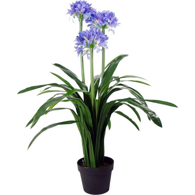 90cm Blue Flower Artificial Blossom Plant Agapanthus with pot