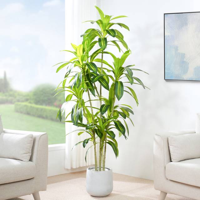 (170CM) Artificial Agave Tree with Plastic Planter & Moss