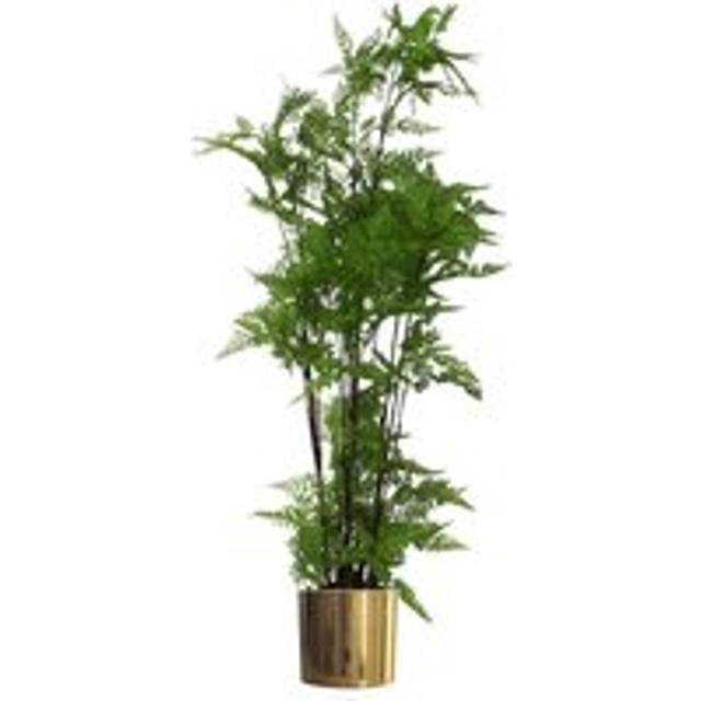 150cm Artificial Natural Moss Base Fern Foliage Plant with Gold Metal Planter