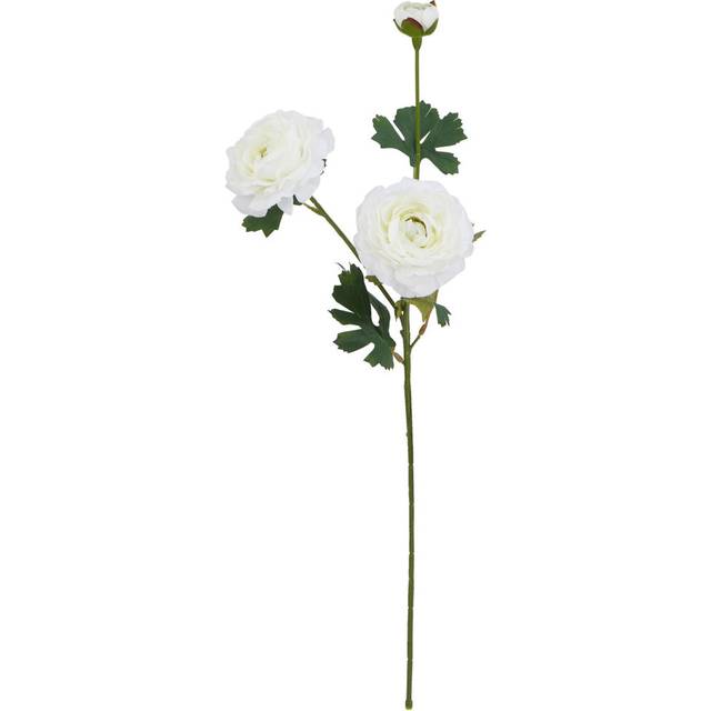 The Natural Garden Collection White Ranunculus (64cm H X 12cm W X 7cm D)