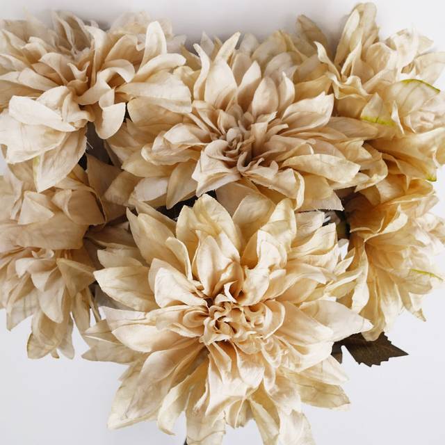 55cm dahlia flower stem - dusty cream