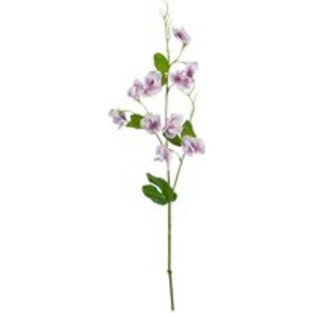 The Natural Garden Collection Pale Pink Sweetpea Stem - Purple (61cm H x 10cm W x 5cm D)