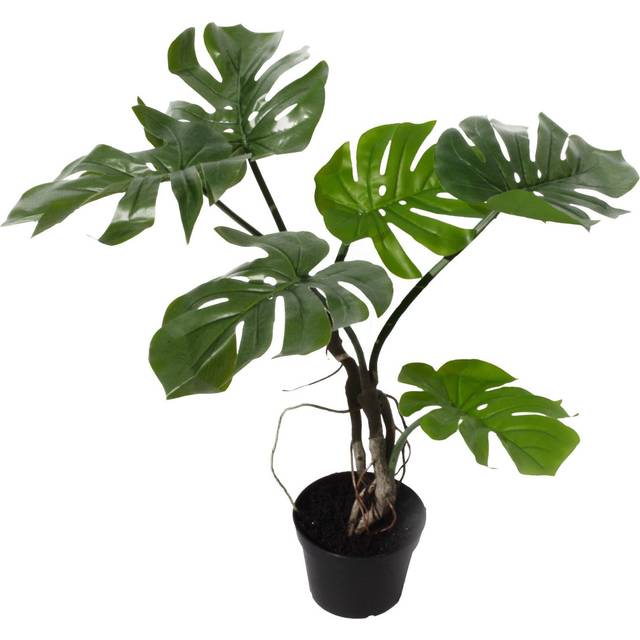 Artificial Monstera Plant Twisted Cheese Plant 60Cm Leaf Design UK Realistic Botanik, Green