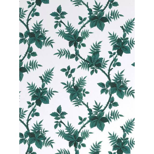 John Lewis X Collagerie Botanical Vine Wallpaper, Green