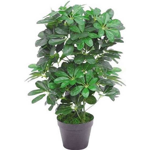 55cm Dark Green Artificial Schefflera Arboricola Plant