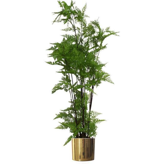 Leaf - 150cm Artificial Natural Extra Large Fern Foliage Plant with Gold Metal Planter