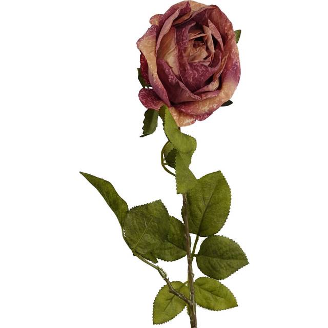 70cm Artificial Dark Pink Rose - One Size