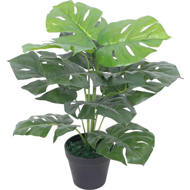 Monstera Floor Foliage Plant in Pot (45cm H X 11cm W X 11cm D)