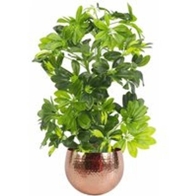 75cm Artificial Arboricola Gold Capella Plant - Copper Metal Planter