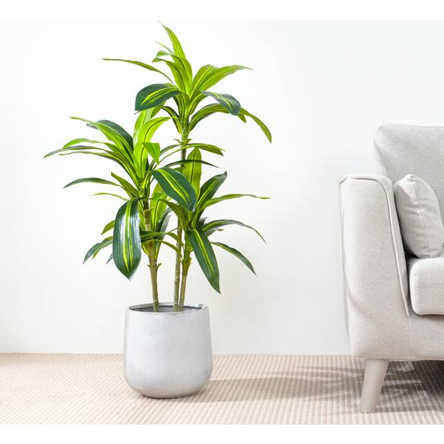 (100CM) Artificial Agave Tree with Plastic Planter & Moss