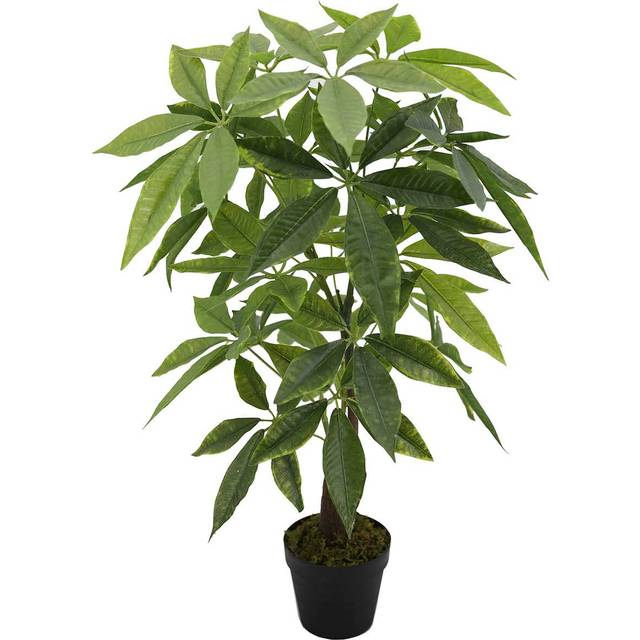 MONEY PLANT WITH POT 45X45x85 CM - BLACK (215.9cm H X 114.3cm W X 114.3cm D)