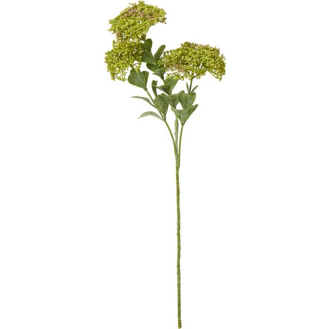 Sedum Spray (Single Stem Flower) - Plastic - Height 58 cm - Green