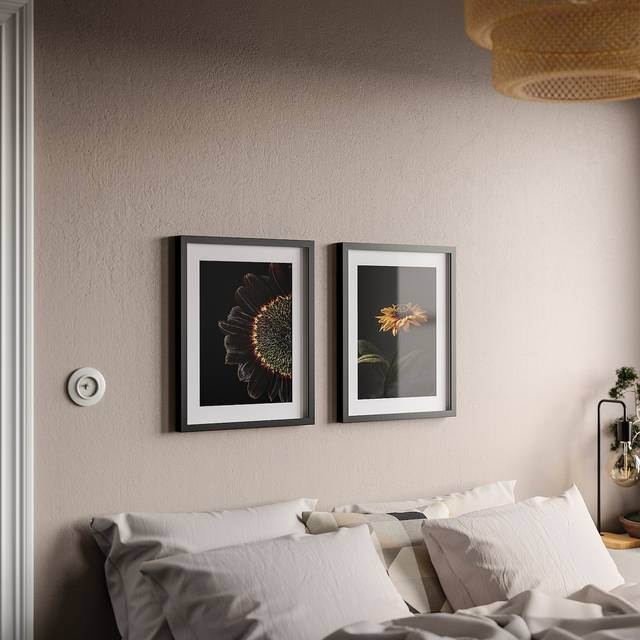 RÖDALM ram med bild, solrosor, 40x50 cm