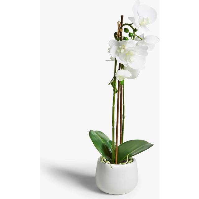 John Lewis Artificial Large White Orchid